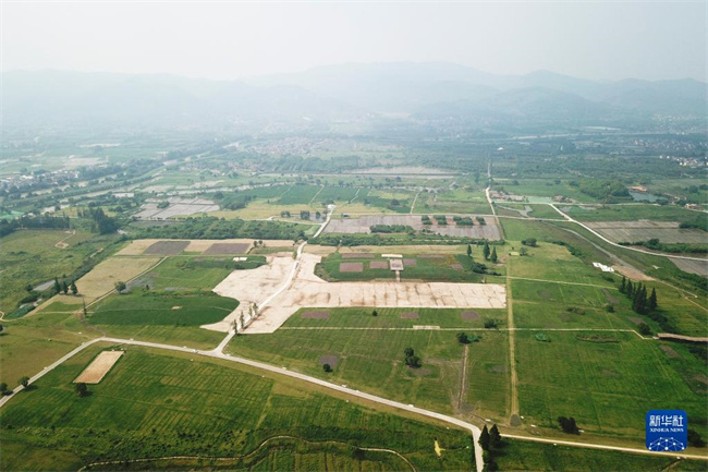 澳门六合彩开奖结果走势图