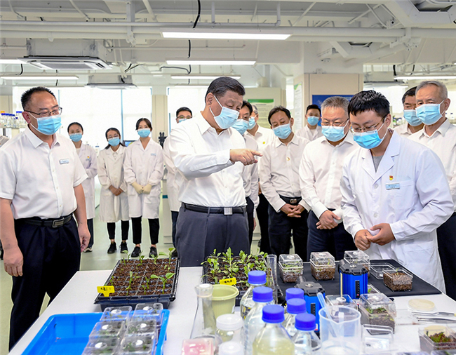 澳门六合彩开奖结果走势图