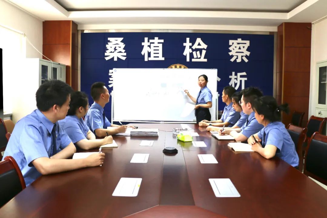 澳门六合彩开奖结果走势图