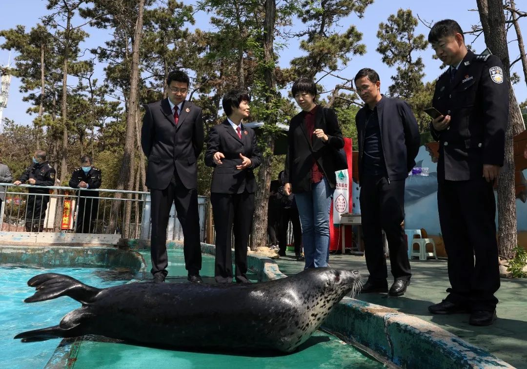澳门六合彩开奖结果走势图
