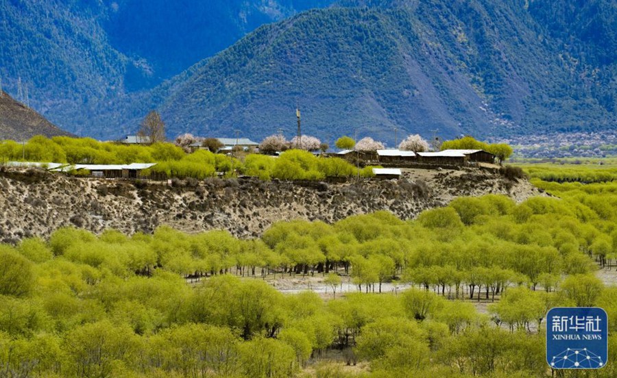 澳门六合彩开奖结果走势图