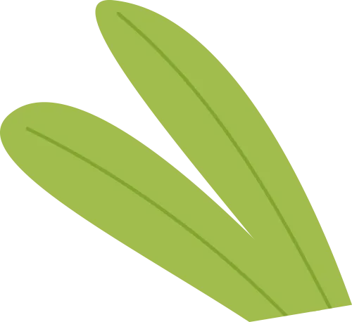 澳门六合彩开奖结果走势图