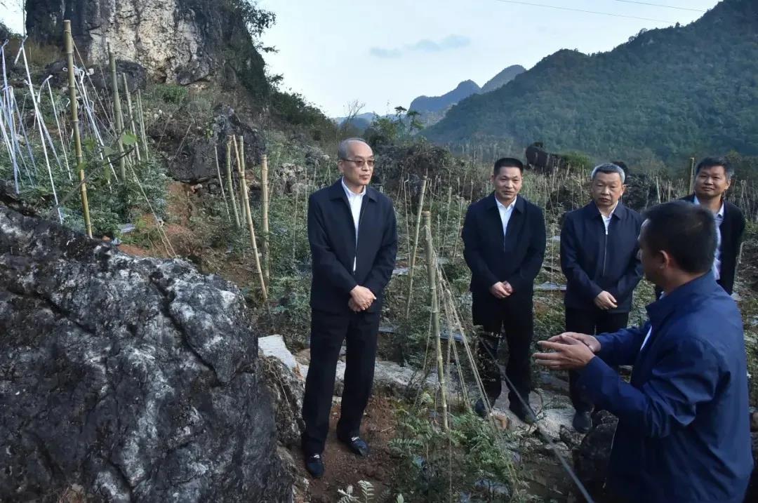 澳门六合彩开奖结果走势图