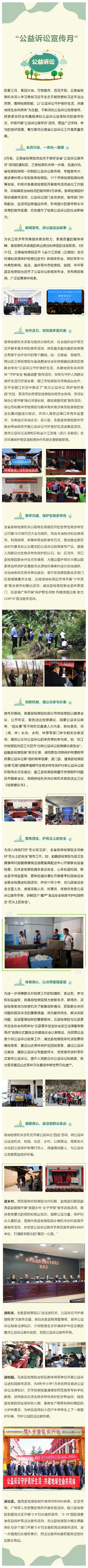 澳门六合彩开奖结果走势图