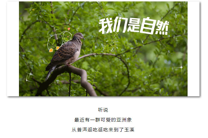 澳门六合彩开奖结果走势图