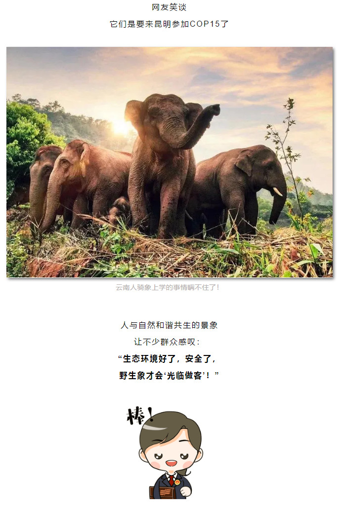 澳门六合彩开奖结果走势图