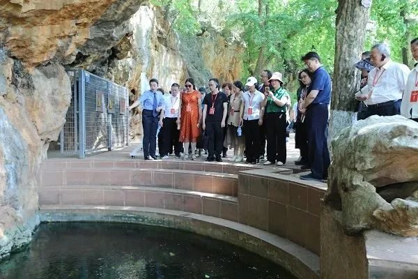 澳门六合彩开奖结果走势图