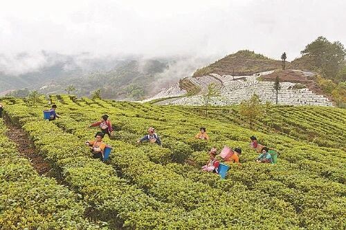 5b2cdbb368622e60126bdc1654f91e85.jpg 澳门六合彩开奖结果走势图