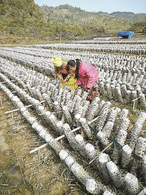 2b92317b9bee9c301d8650ed32dd8c0f.jpg 澳门六合彩开奖结果走势图