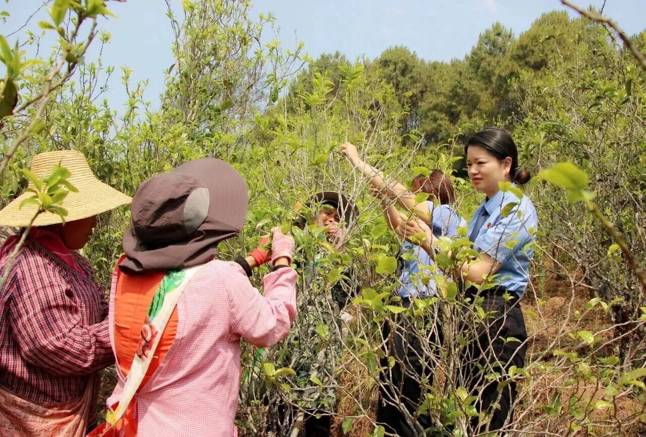 ca4413b7971cc180e73c8c2b92a118b2.jpg 澳门六合彩开奖结果走势图