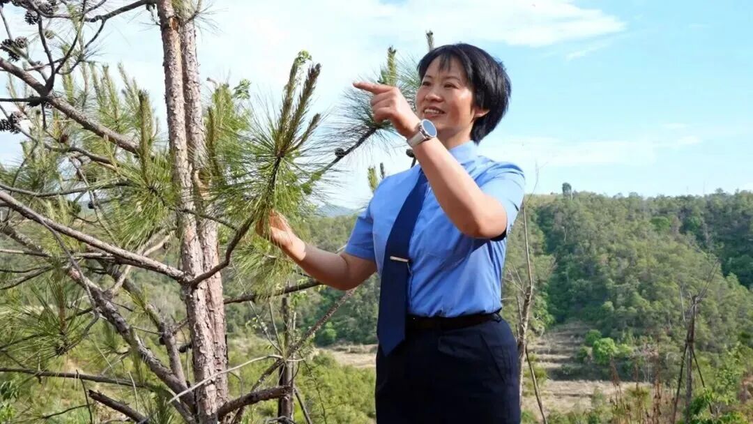 澳门六合彩开奖结果走势图