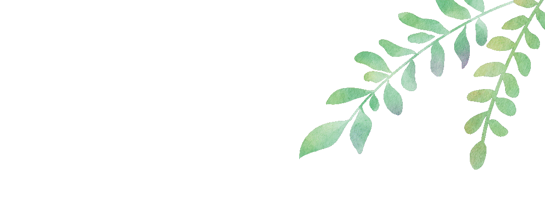 澳门六合彩开奖结果走势图