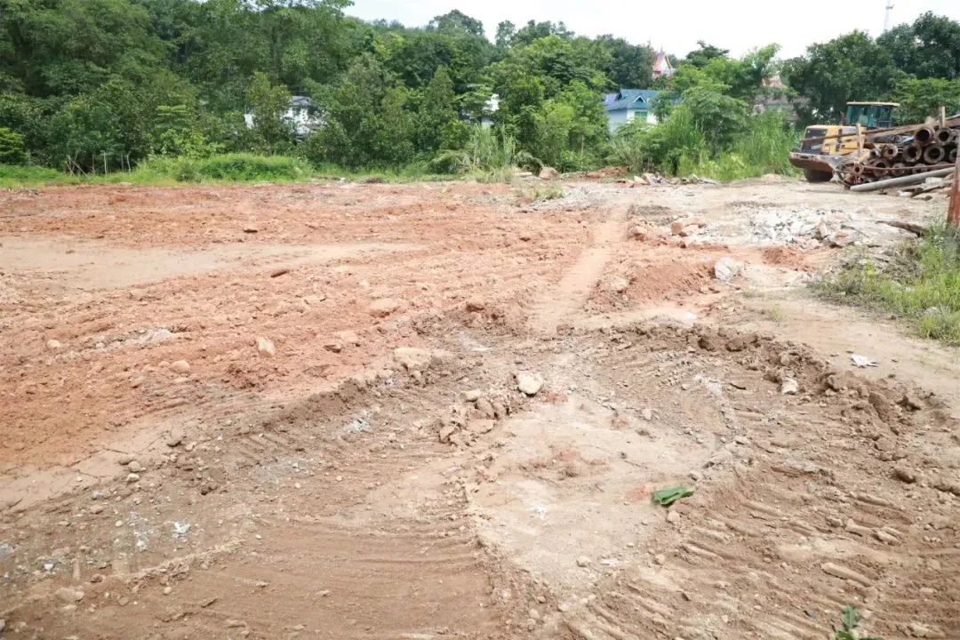 澳门六合彩开奖结果走势图