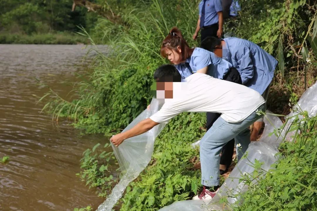 澳门六合彩开奖结果走势图