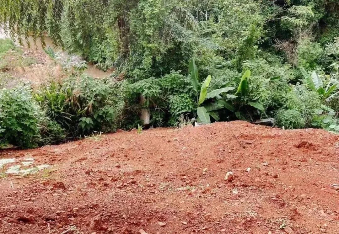 澳门六合彩开奖结果走势图