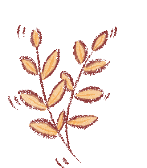 澳门六合彩开奖结果走势图