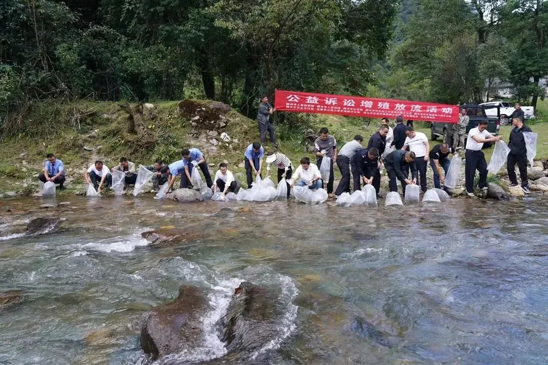 澳门六合彩开奖结果走势图