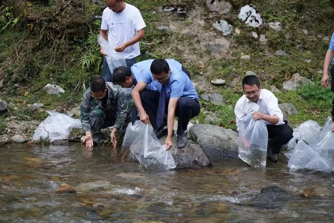 澳门六合彩开奖结果走势图