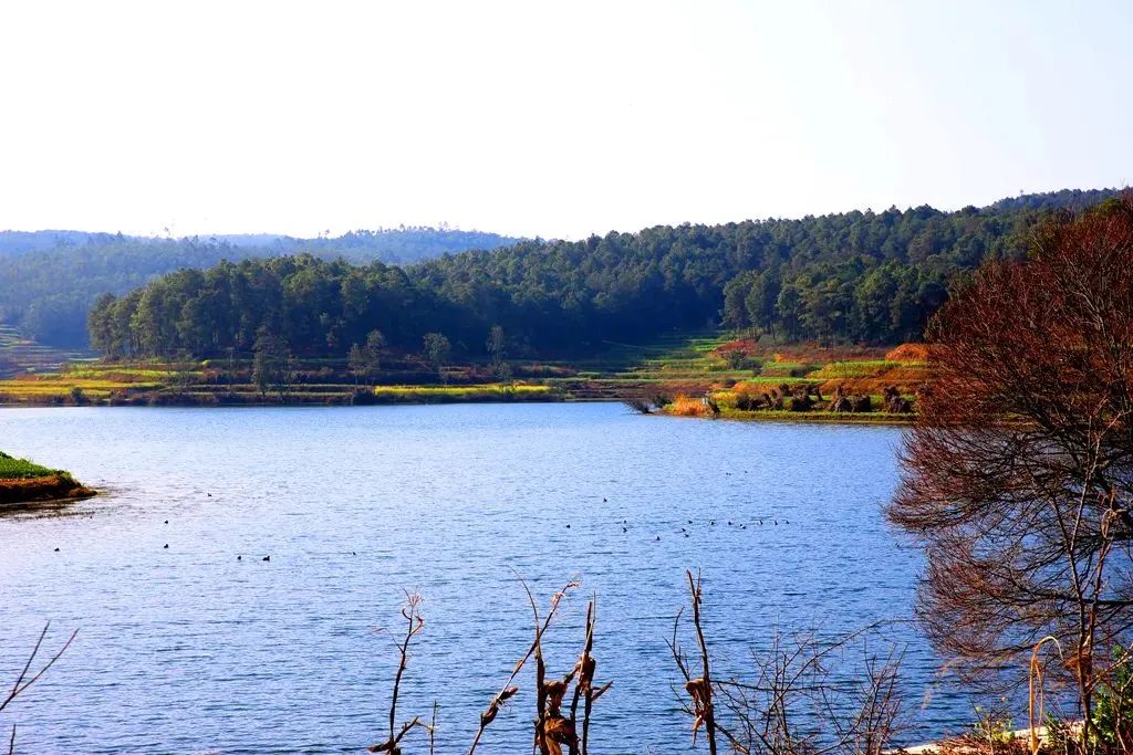 澳门六合彩开奖结果走势图