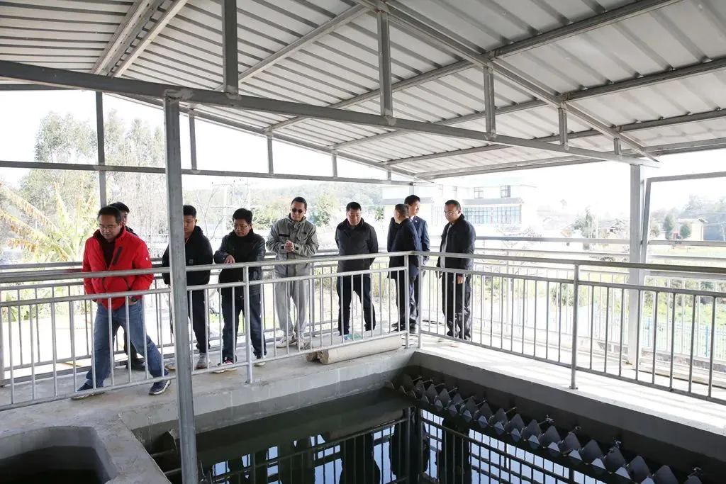 澳门六合彩开奖结果走势图