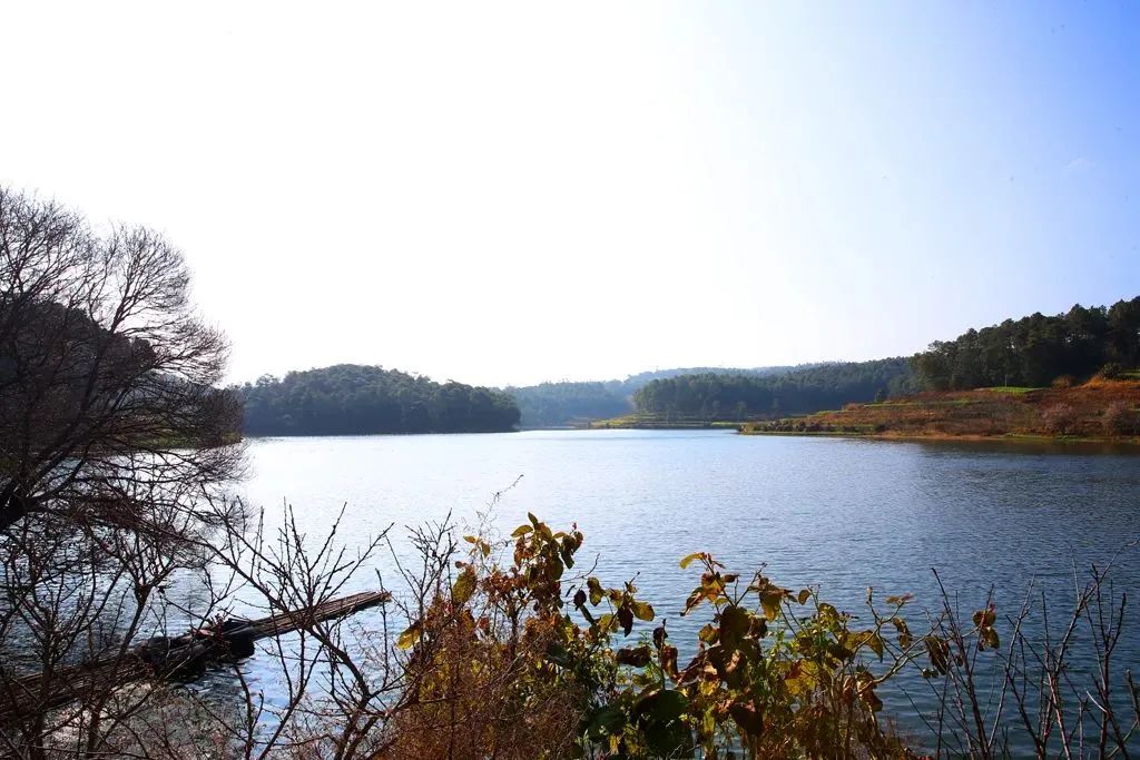 澳门六合彩开奖结果走势图