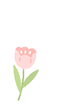 澳门六合彩开奖结果走势图