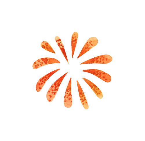 澳门六合彩开奖结果走势图