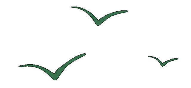 澳门六合彩开奖结果走势图