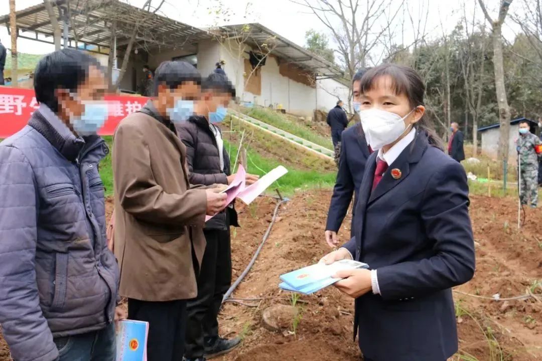 澳门六合彩开奖结果走势图