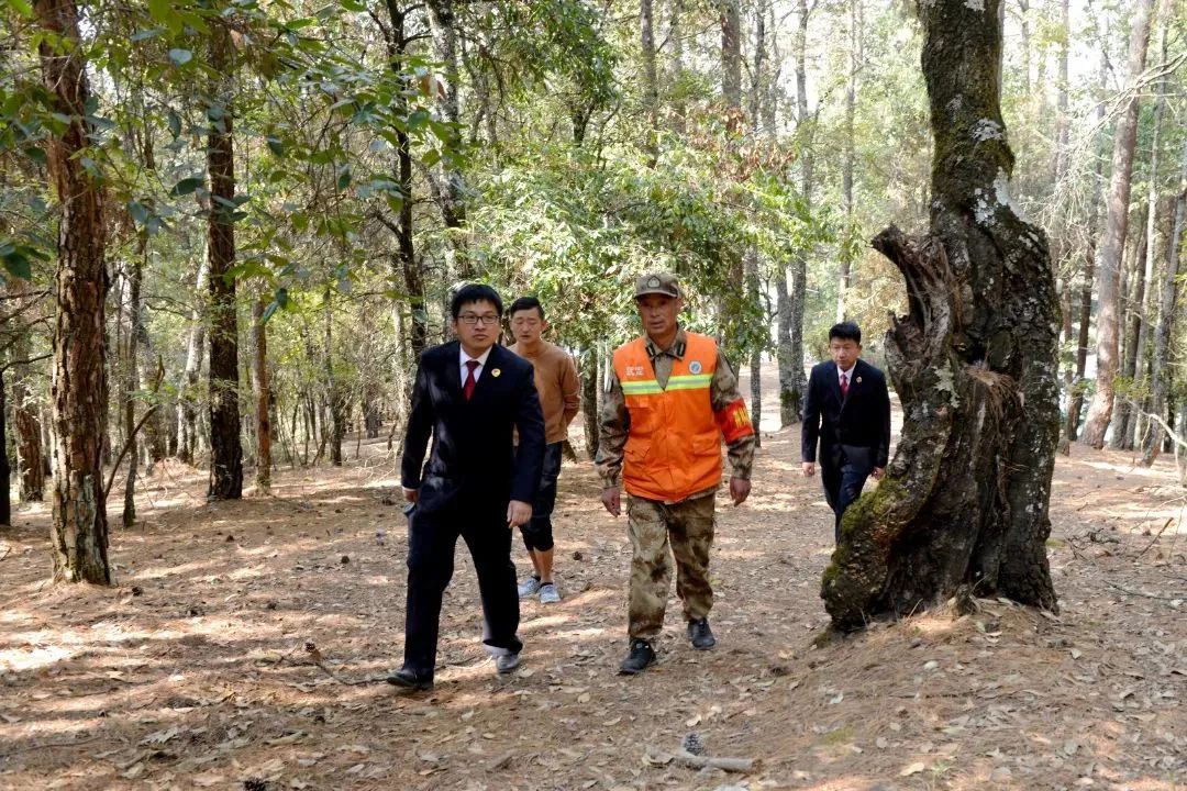 澳门六合彩开奖结果走势图
