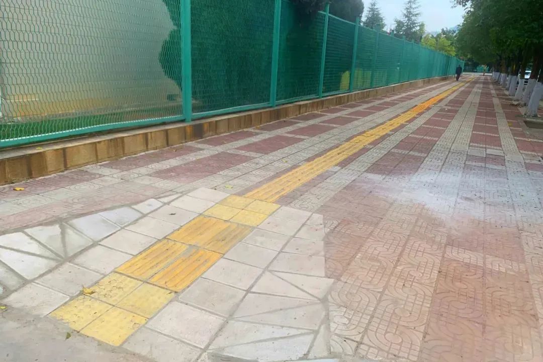澳门六合彩开奖结果走势图