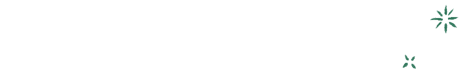 澳门六合彩开奖结果走势图