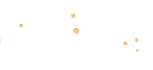 澳门六合彩开奖结果走势图