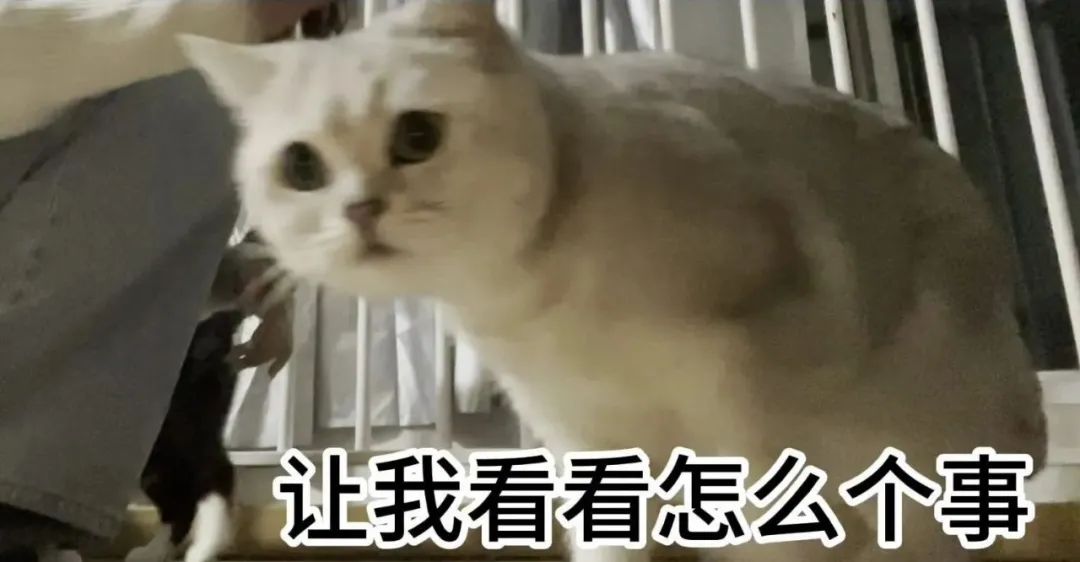 澳门六合彩开奖结果走势图