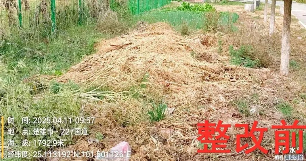 澳门六合彩开奖结果走势图