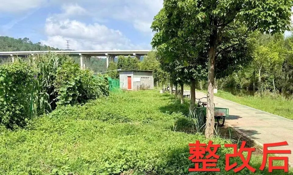 澳门六合彩开奖结果走势图