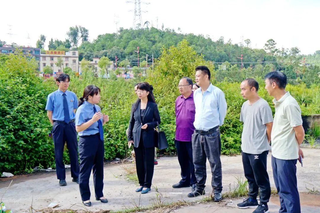 澳门六合彩开奖结果走势图