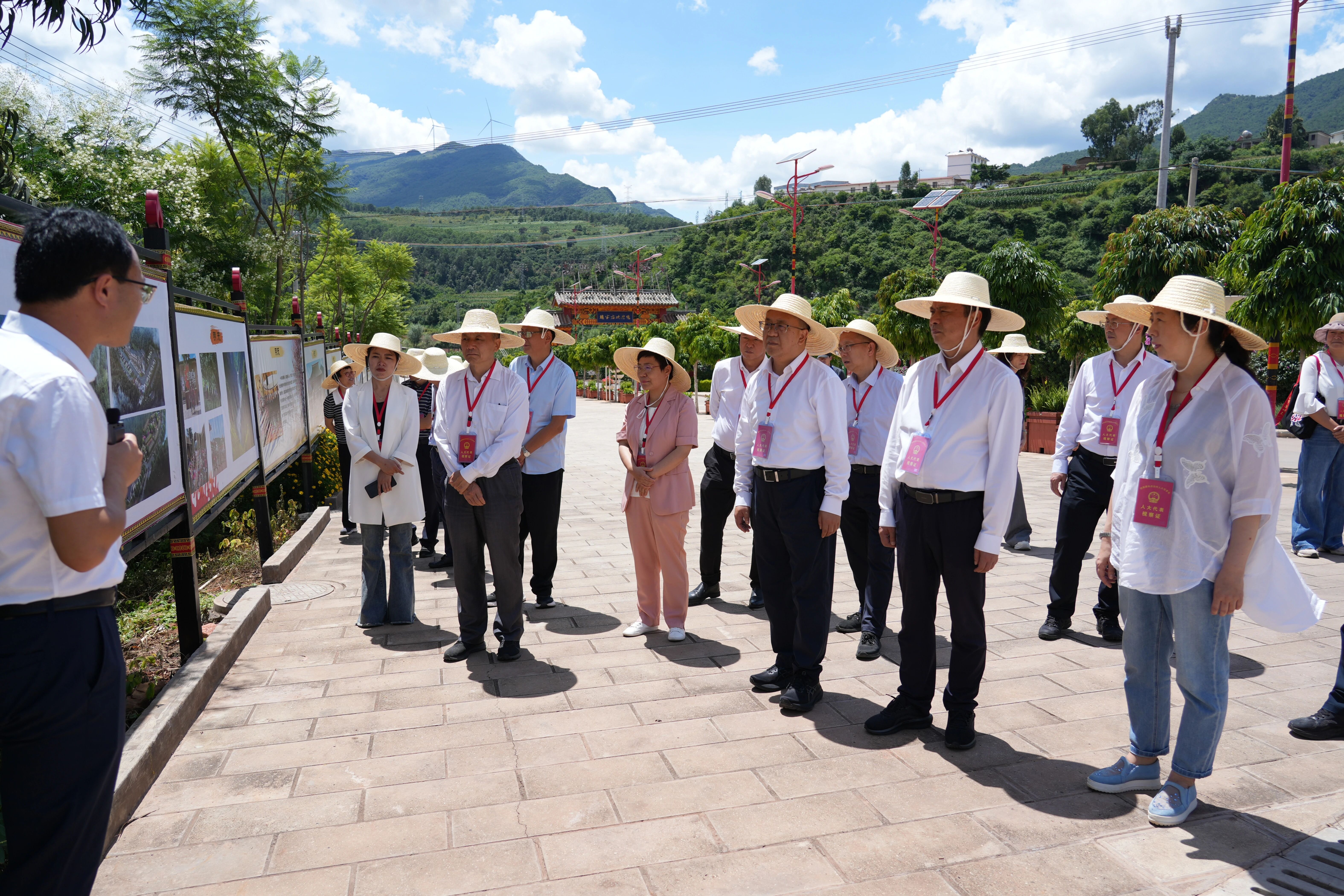 澳门六合彩开奖结果走势图