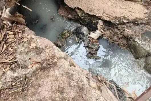 澳门六合彩开奖结果走势图