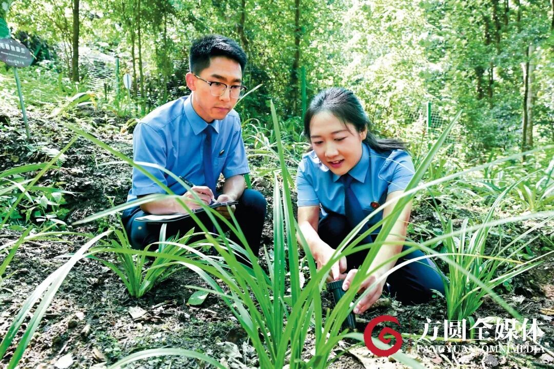 澳门六合彩开奖结果走势图