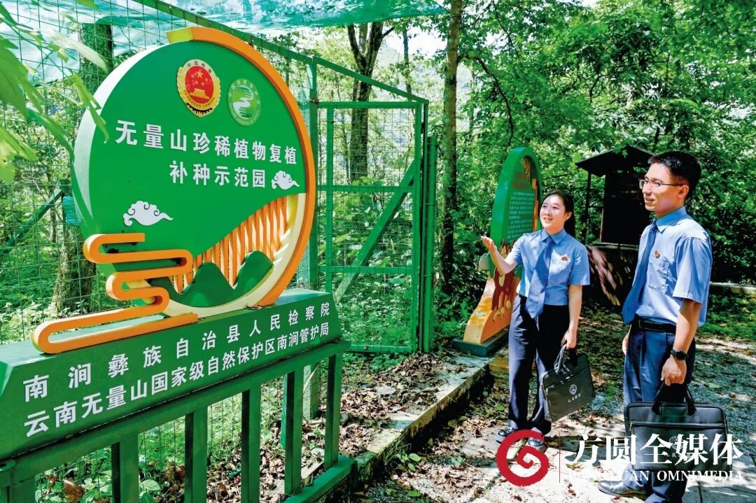 澳门六合彩开奖结果走势图