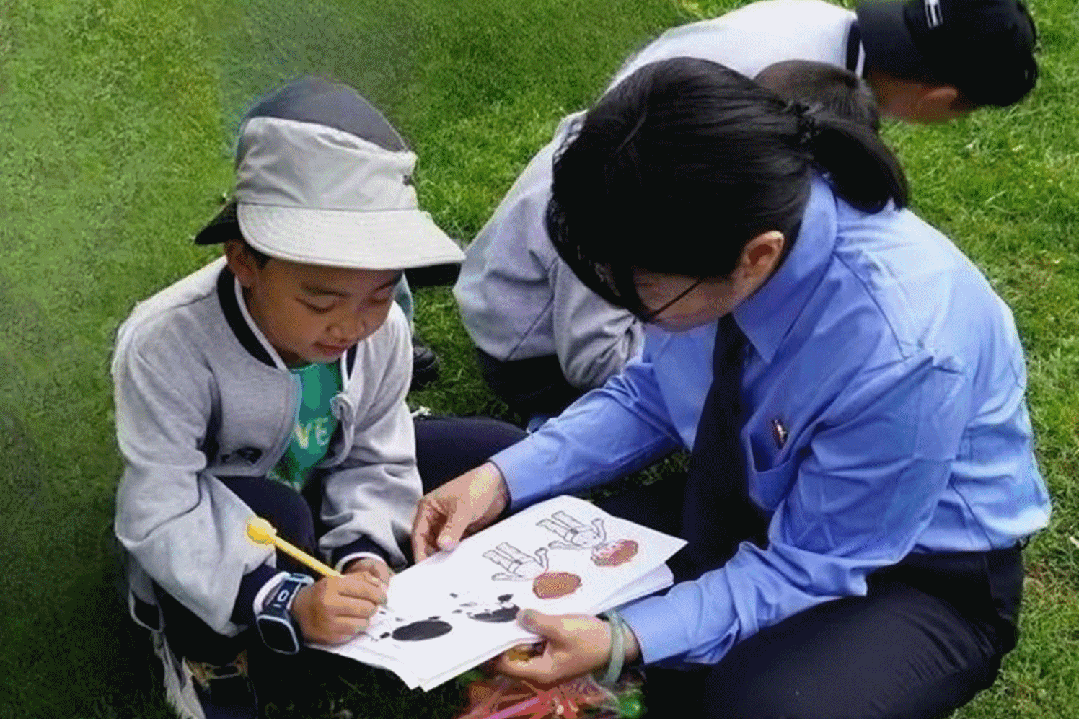 澳门六合彩开奖结果走势图