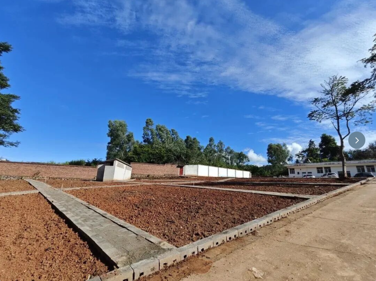 澳门六合彩开奖结果走势图