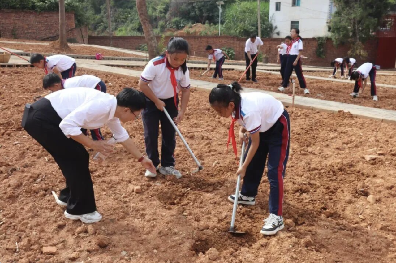 澳门六合彩开奖结果走势图