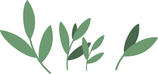 澳门六合彩开奖结果走势图