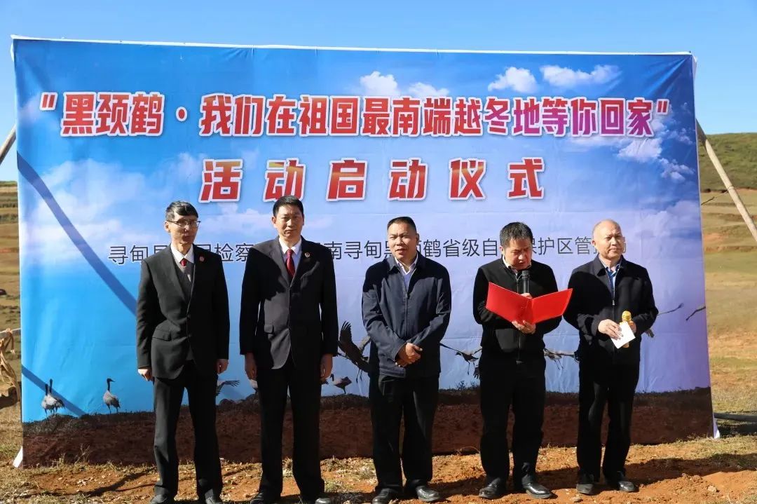 澳门六合彩开奖结果走势图