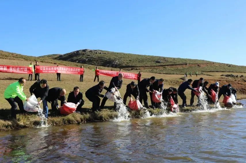 澳门六合彩开奖结果走势图