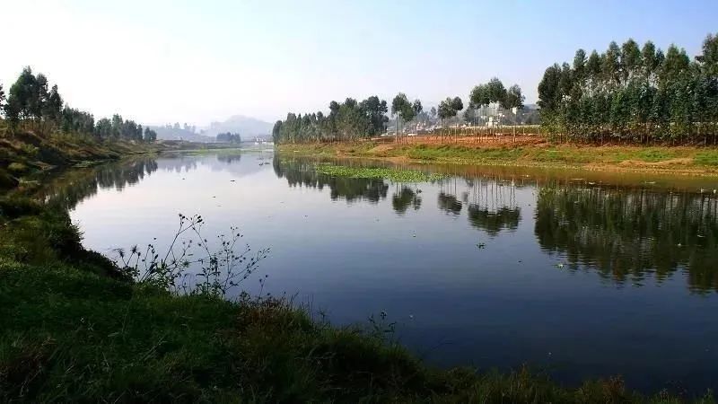 澳门六合彩开奖结果走势图