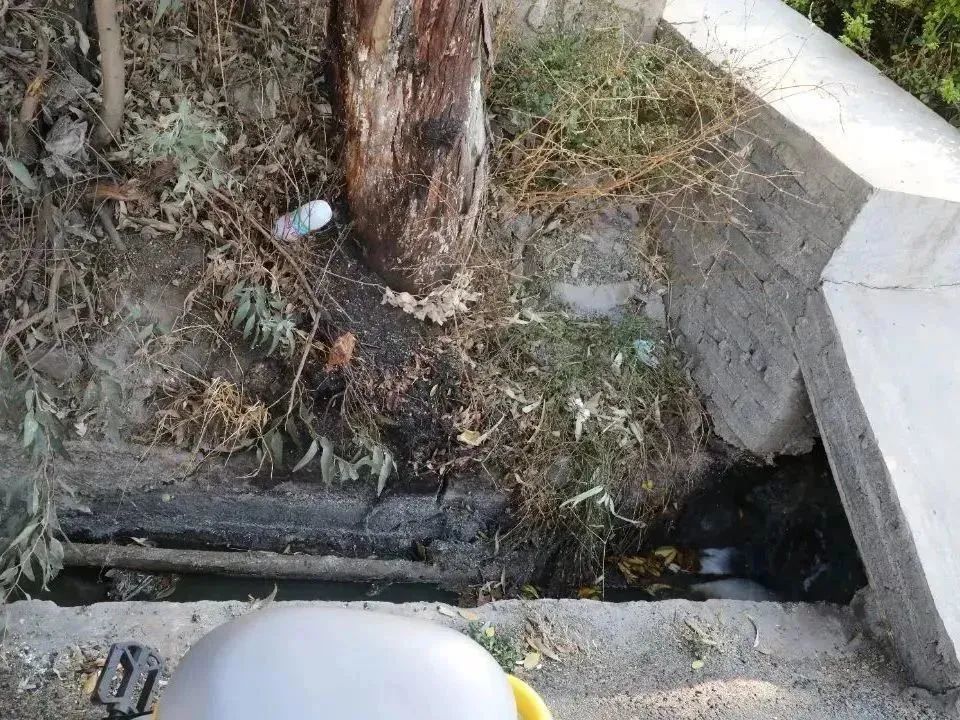 澳门六合彩开奖结果走势图