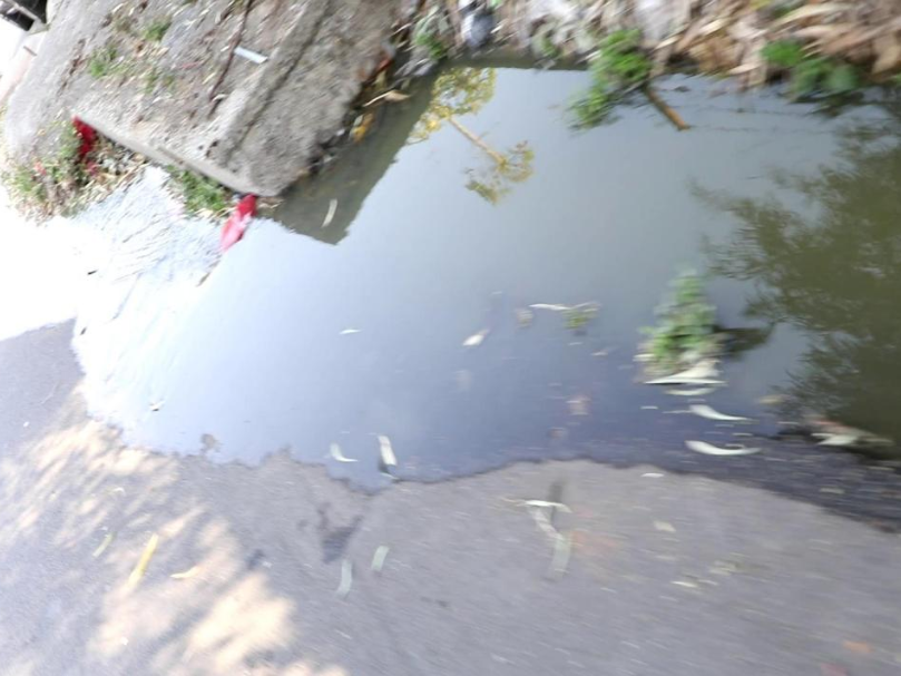 澳门六合彩开奖结果走势图